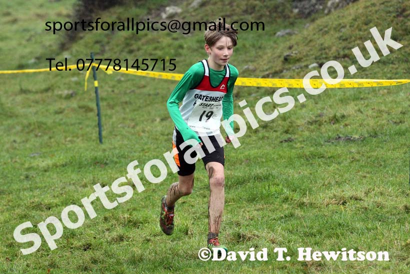 Boys under-13s, NECAA Junior Cross Country Relays, Thornley Farm, Peterlee, Saturday, December 12th. Photo: David T. Hewitson/Sports for All Pics